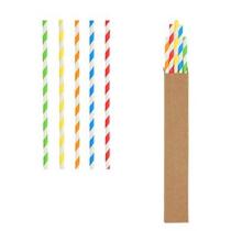 POPOTES PROMOCIONALES FIESTA