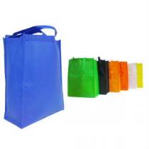 BOLSA ECOLOGICA ECOSTYLE NON WOVEN